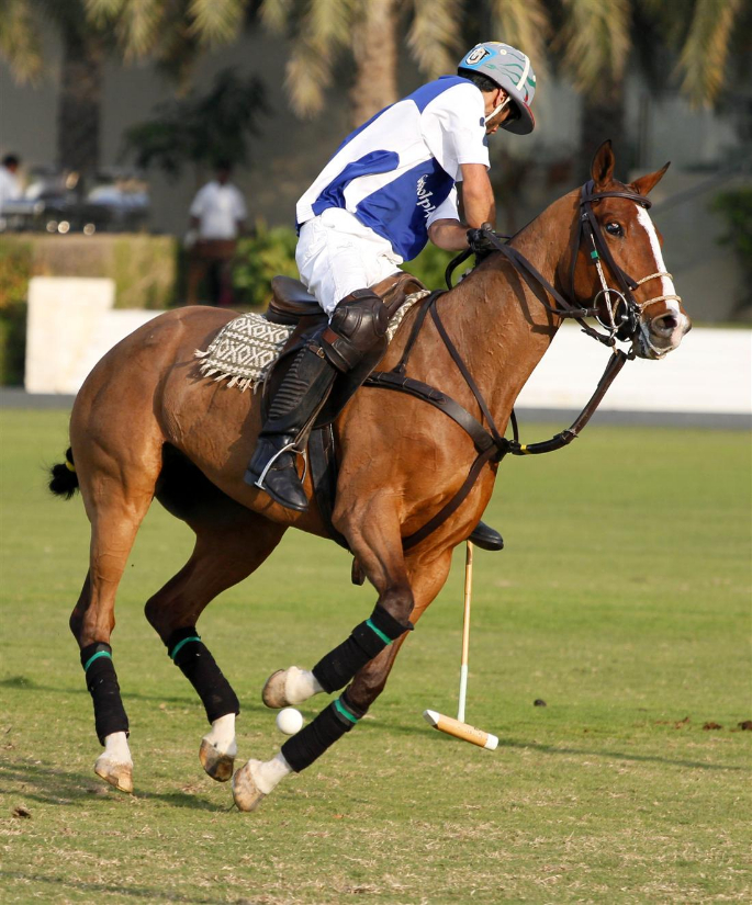 10-2013 Emirates Cup-Rashid Alwardy