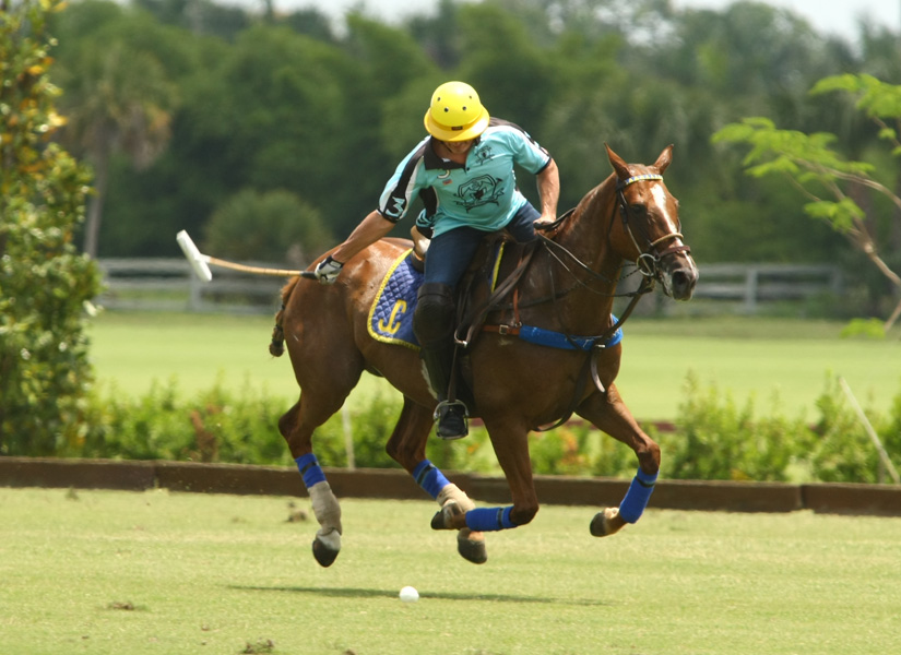 longfield eastern challenge polo tournament polo mag pacheco photos polo mag
