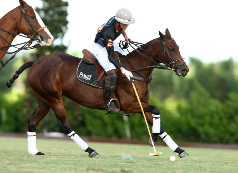 pedromorrisonpolotrophypolousapolomagazinepachecophotos2013 2