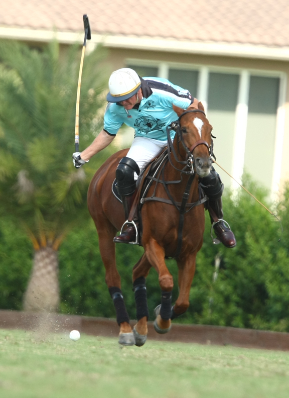 pologearfallcuppolomagazinepachecophotographypoloteams 1