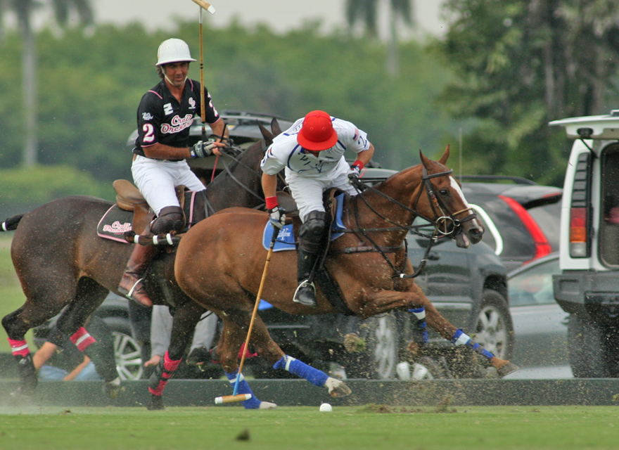 photos-valiente-11-crab-orchard-10 3 polomagazine.jpg