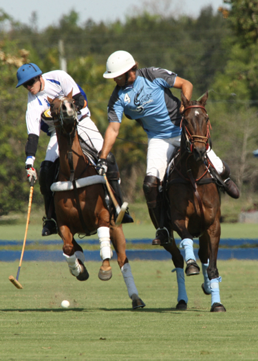 polo photography alex pacecho polo magazinepolo team polo club polo tournament 2